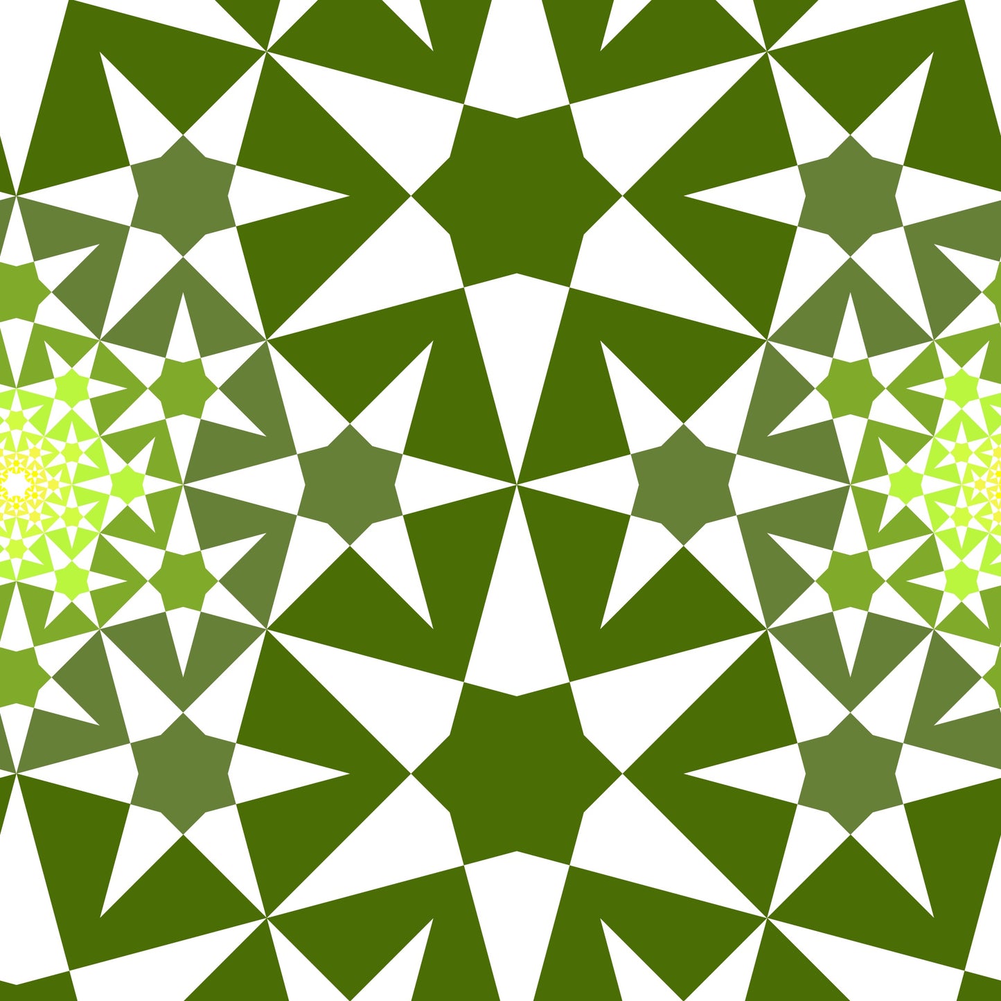 Vibration 6 - Ferns